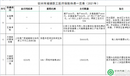 欽州市城鎮(zhèn)職工醫(yī)療保險待遇一覽表（2021年）